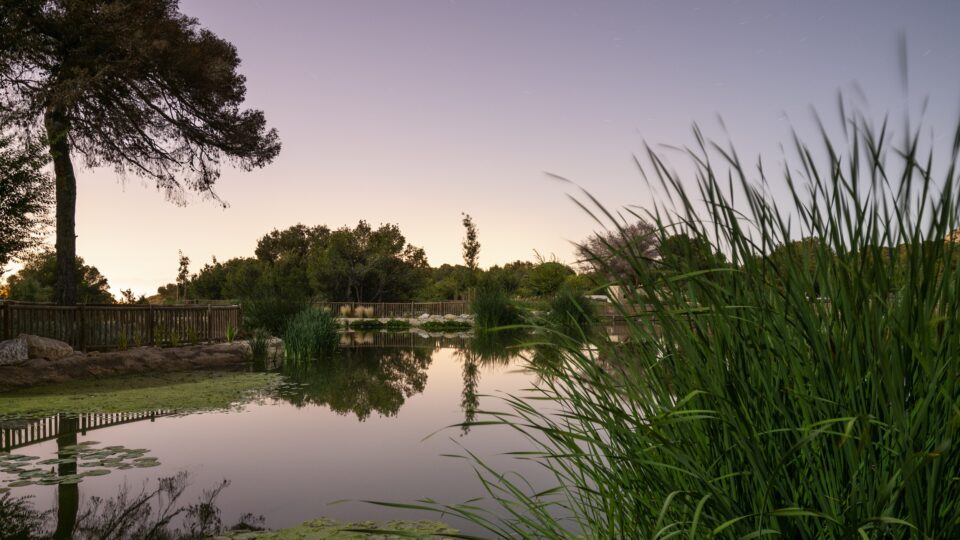 Inspirarse en la naturaleza, la estrategia de Veolia para preservar el medio ambiente
