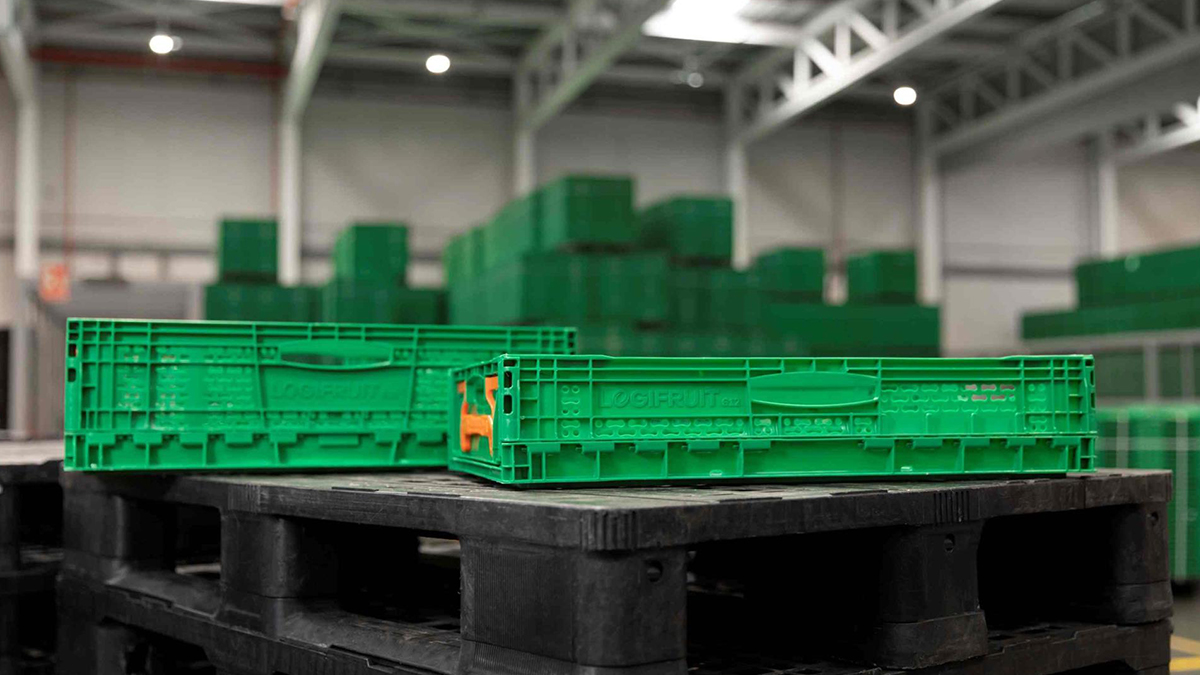Logifruit cierra 2024 con un crecimiento del 7% hasta los 163 millones y una nueva sede en Almeirim (Portugal)